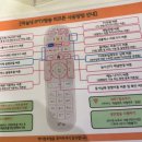 가평남이섬 케이팝호텔 이미지