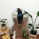 라미엔느스튜디오