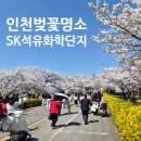 주정차-17 | 인천 SK석유화학 벚꽃 아기랑 인천 벚꽃 명소 후기 (주차, 개방기간)
