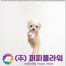 강아지분양 애견분양 퍼피플라워 중랑점 이미지