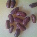 한울농장 이미지