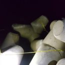 욕지파출소 이미지