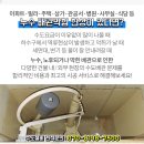 부산국제외국어고등학교 이미지