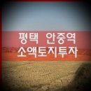 다윈공인중개사사무소 이미지