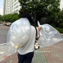 삼용아파트앞 이미지