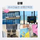 채색도미술관카페 | 강릉 데이트 핫플, 오션뷰 강릉미술카페 : 성수미술관 강릉안목점