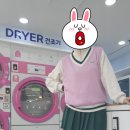 뽀송이 운동화 세탁 이미지