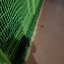 포동체육공원 이미지