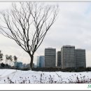 정부대전청사 이미지