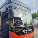 고성 강원세계산림엑스포 방문 후기! (2023.09.25 월)