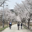 복탄보건진료소 네이버블로그