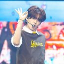 요치요치 이미지