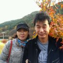 현천초 이미지