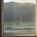 리우네일 - 고양시 일산서구 일산로 524 | 리우네일