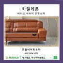 주원바이오 이미지