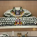 경기도 수원시 팔달구 매영로 이미지