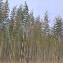 지명행정사 이미지