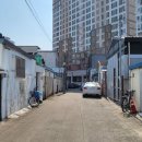 식목일스테이