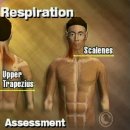 10.Physical performance evalution - Respiration 이미지