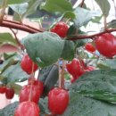 광명리마을회관 이미지