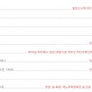 루마 스튜디오 이미지