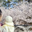 ARTHALL 마당 이미지