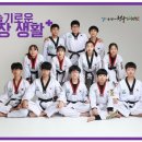 용인대 새봄 태권도 이미지