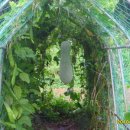 영곤농장 이미지