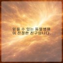 토브동물병원 | 반려동물의 건강을 지키기 위한 동물병원 선택 가이드