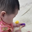 6개월 아기 문화센터 추천이유 아이젬 오감놀이 수업 후기