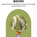 다미아 네이버블로그