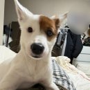 봉황11길 이미지