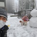 굿파파24시 반려동물 건강검진센터 이미지