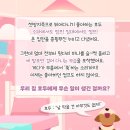 리더스 외과 동물병원 네이버블로그