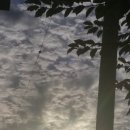 (주)아이콘온 이미지