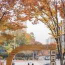 신해철거리 이미지