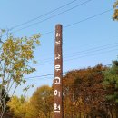 나무고아원 이미지