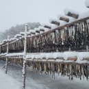 &#34;에어컨 없이 잘 수 있는 평창, 천하제일 여름배추 맛 한 번 보실래요&#34;