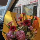 디스베리데이 이미지