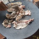 [6st] 횡성 캠핑장 둔내 캠프 아이들과 놀기 좋은 곳