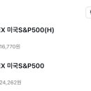 슨피 환헤지랑 일반 둘다 모으는거 별루임..? 이미지