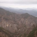 300072 Daum카페