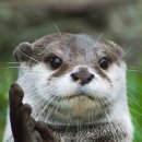 산들 낚시터 이미지