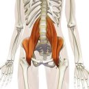 라잇나우짐 이미지