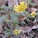 찬물내기 이미지