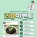 청년반점 이미지