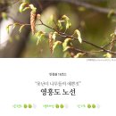 인천권 16코스 : "못난이 나무들의 예쁜짓" 영흥도 노선 이미지