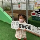 진산농장2 이미지