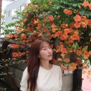세븐일레븐 부천북부역점 | [부천상동피부관리] 여름맞이 탱글쿨링관리 후기! 휘게에스테틱에서 시원하게 피부 진정