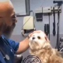 [스포주의] 앞으로 서바이벌 게임은 벌칙을 강하게 넣어줬으면 이미지